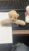 大量需要如图这几款发夹，寻找这几款发夹产
