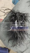 胶抢粘羽毛