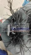 胶抢粘羽毛