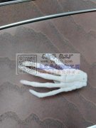 需要求购一万五千个如图所示产品。长7公分