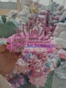 打胶抢&nbsp;包装&nbsp;上弹簧