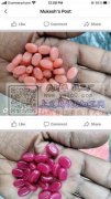 采购这几款珠子，有做的厂家请与我联系