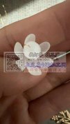 寻找这种供应商或者工厂 有的请联系