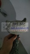我这里有4万个玩具外发.需要义乌附近的加