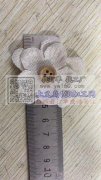 每次需要10万朵或以上，寻找能生产或可以