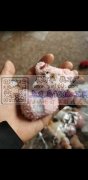 寻找专做这种充棉跟手工活的加工厂