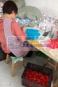 义乌加工厂长年承接&nbsp;各种手工活