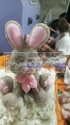 有大量毛绒玩具外发加工。有能力的老板看过
