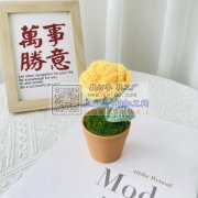 承接毛线钩织手工<br />
毛线编制