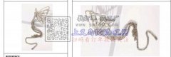 寻找图示合金发饰。要做图示产品的合金源头