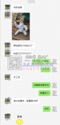 手工活外发 如图，数量3000个