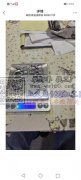 专业生产弹簧扣弹&nbsp;&nbsp;