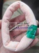 有做这个的联系我&nbsp;&nbsp;