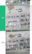 需要图上这些发抓现货，寻找这几款成品现货