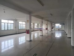 厂房出租580平有电梯