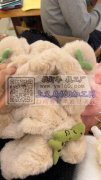 本厂有大量两件套外发，有做过的联系我，能