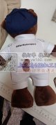 毛绒玩具一万个能做的联系