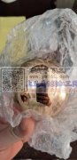 本厂现有图上产品外发电镀，寻找挂镀 玫瑰