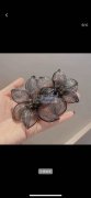现需寻找铜丝金属丝混编立体花生产厂家 、