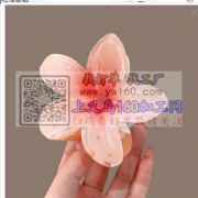 需要图上这个发夹，寻找鸡蛋花发夹工厂&n