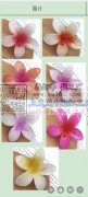 如图，寻找这款鸭嘴夹款式的花朵夹子，有这