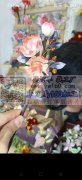 大量采购如图国风款各种花片