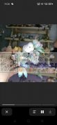 大量采购如图国风款各种花片