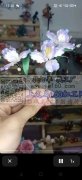 大量采购如图国风款各种花片