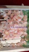 寻做国风款各种花片厂家 如图 量大