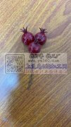 现需寻求能生产或可以生产如我附件所示的这