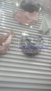 20000个防晒面罩外发 如图