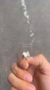 求购图内配件，找这款货厂家，有货的厂家联