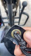 首单一万个手工活外发，如图【老板在线等】
