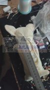 8万个毛绒玩具外发【发外省-纯加工】