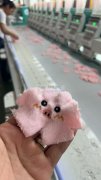 "专业电脑绣花，欢迎