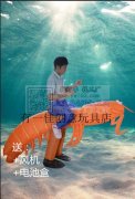 常年外发 充气服，订单稳定，可