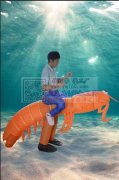 图上服装外发加工，寻找服装加工厂，纯加工