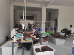 本加工厂专业打胶枪。承接各种手工类加工业