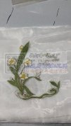 立诚毛巾绣花厂&nbsp;主营：毛巾绣/