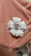 常年采购如图辅料成品，寻找能提供成品的厂
