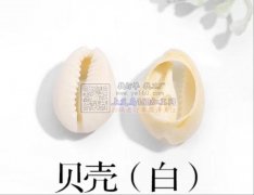 需要50万颗左右图上这个贝壳，寻找这个贝