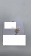 寻找做图示这个耳环的工厂，急要这个货，，
