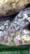 需要求购这种渐变风格树脂材料，常规圆形和