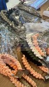 大量求购图上这些产品【现金求购】谁家有如