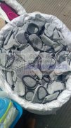 本仓库有一批船袜清仓处理