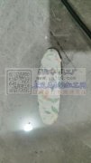 【老板在线寻找】找专业做这个夹子的工厂，