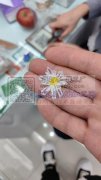 手工编织外发【可发外地】如图，纯加工，寻