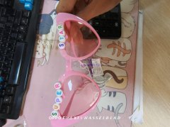 寻找能做宠物眼镜的工厂，有订单，如图每个