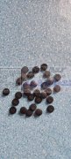 求购手表带上的小黑扣，数量200万个，有
