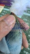 手工车缝收棉口，可以带回家，义乌周边的最